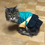 あやか