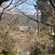 京都の学生の画像
