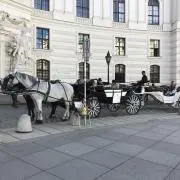 ぴかぴの画像