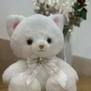 しろねこちゃんの画像
