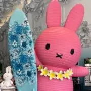 han-moucoの画像