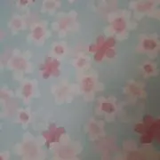 さくらんぼ