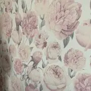 ちゅんちゅんの画像