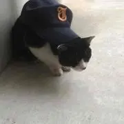 こーへー