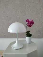 Teiの画像