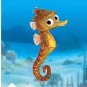 タツノオトシゴの画像
