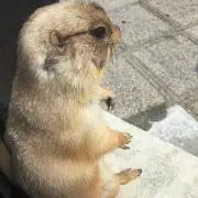 ゆっこ(^^)の画像