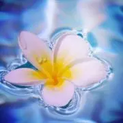 mary★タイムセール中*ˊᵕˋ*の画像