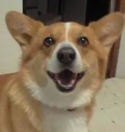 ITOKENの画像