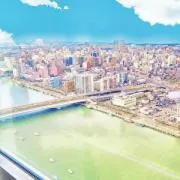 ぱんぴの画像