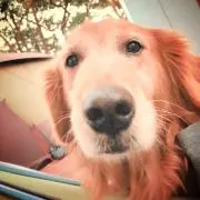 バハカリフォルニアの画像