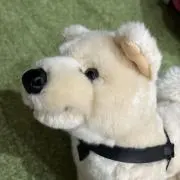 ムックー&モンちゃんの画像