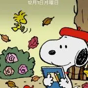 pocoの画像