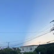 しゅの画像