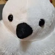 るっちっちの画像