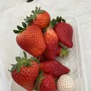 ずー。の画像