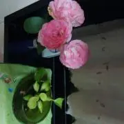 めいゆいこう