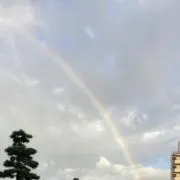 ふみふみ