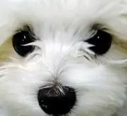 ✱パセリとズッキーニ✱の画像