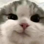 ゆずの画像