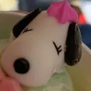 セブン！！