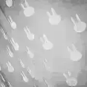 COCOの画像
