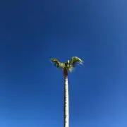 そら