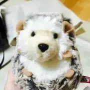 りりー✴︎の画像