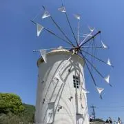 ぴよ
