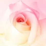 nanakoの画像