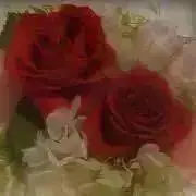 ☆yuki☆の画像