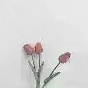 わの画像