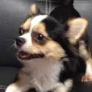 ままちゃん