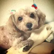 Vivian.Micky^o^