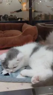 もとめるの画像