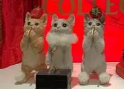 ねこの画像