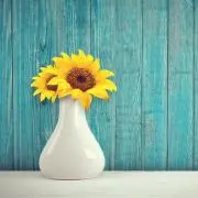 馬の香炉 約25cm ブロンズ 干支 置物 - メルカリ