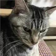 YASUセール☆の画像