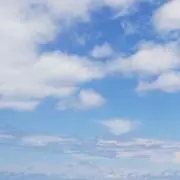 ひろりん♪の画像