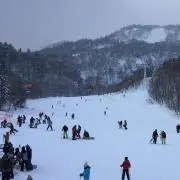 肉巻きおにぎり