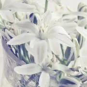 さ ○即購入可○の画像
