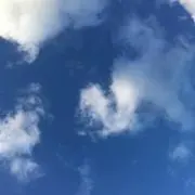 Ruriの画像