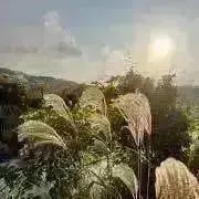 天輝の画像