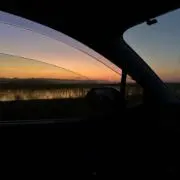 志賀の画像