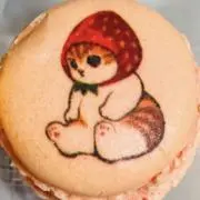 kfの画像
