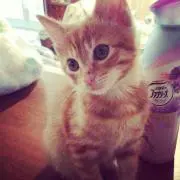 ねんね