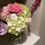 みるるの画像