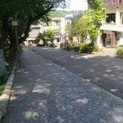 さしゃの画像