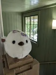 マヒ
