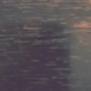 まるた